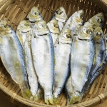 베트남산 밴댕이 150g (디포리)