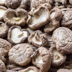 통표고버섯 중국산 250g