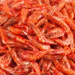 적새우 중국산 1kg
