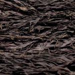 건미역 800g