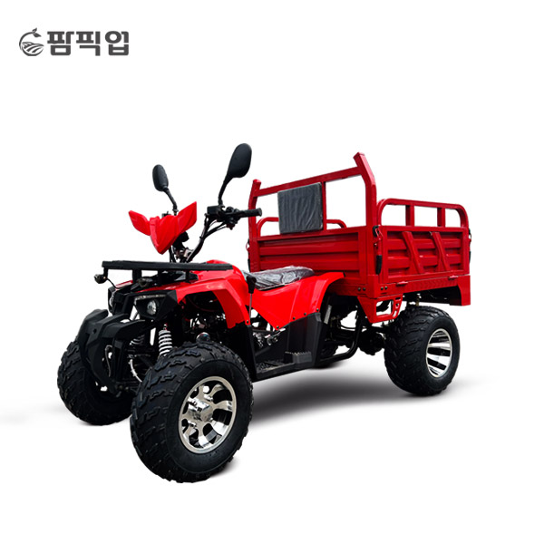 팜픽업 125