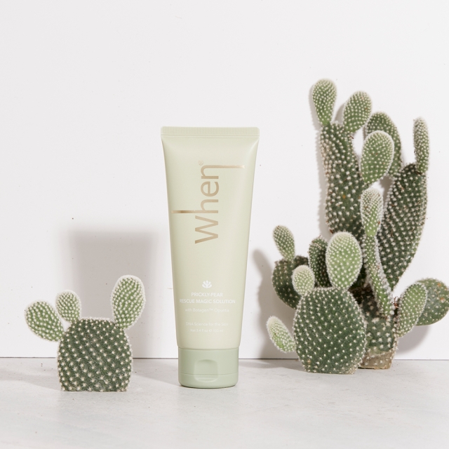 웬 백년초 피부 진정수분 미백 주름개선 매직솔루션 만능크림