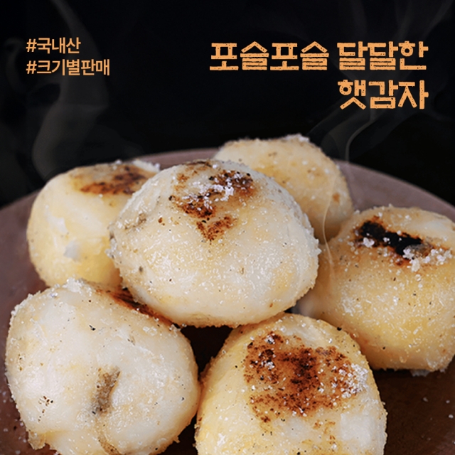 국내산 햇감자 수미 두백 홍 알 감자 2kg 3kg 5kg