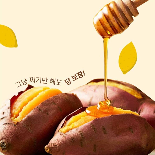 해남 꿀 밤 24년 햇고구마 3kg 5kg 10kg 베니하루카 황금 호박고구마