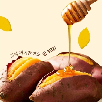 해남 꿀 밤 24년 햇고구마 3kg 5kg 10kg 베니하루카 황금 호박고구마