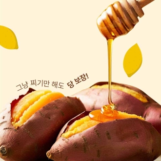 해남 꿀 밤 24년 햇고구마 3kg 5kg 10kg 베니하루카 황금 호박고구마