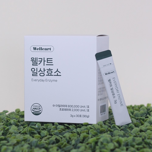 [웰카트] 에브리데이 필수 효소 녹차맛(3g X 30포)