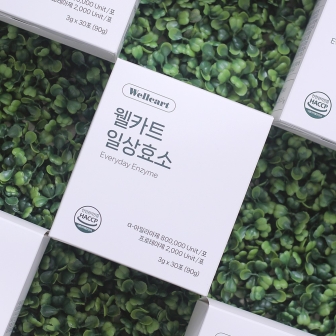 [웰카트] 에브리데이 필수 효소 녹차맛(3g X 30포)