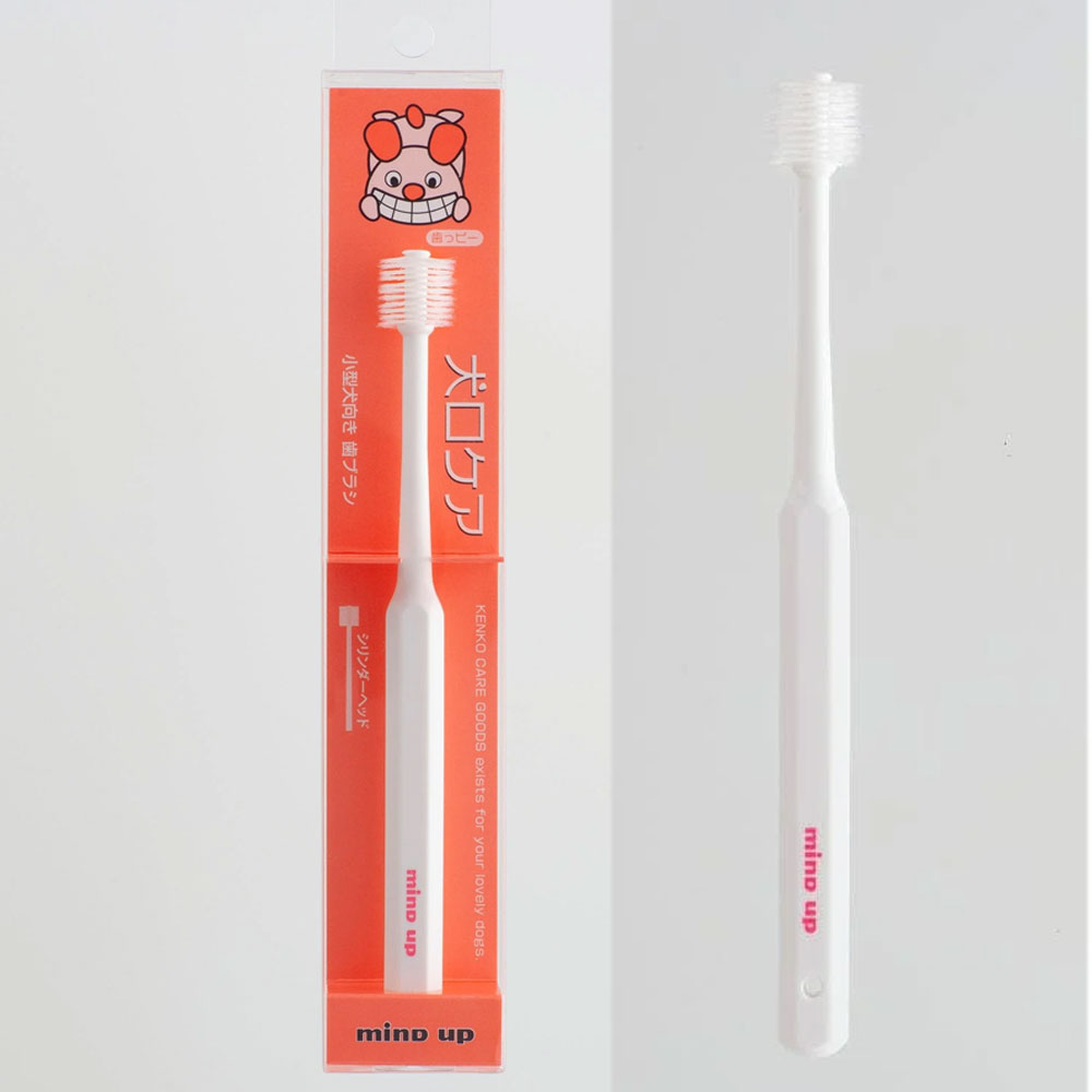 마인드업 켄코케어 360도 실린더 칫솔 일반 1개입