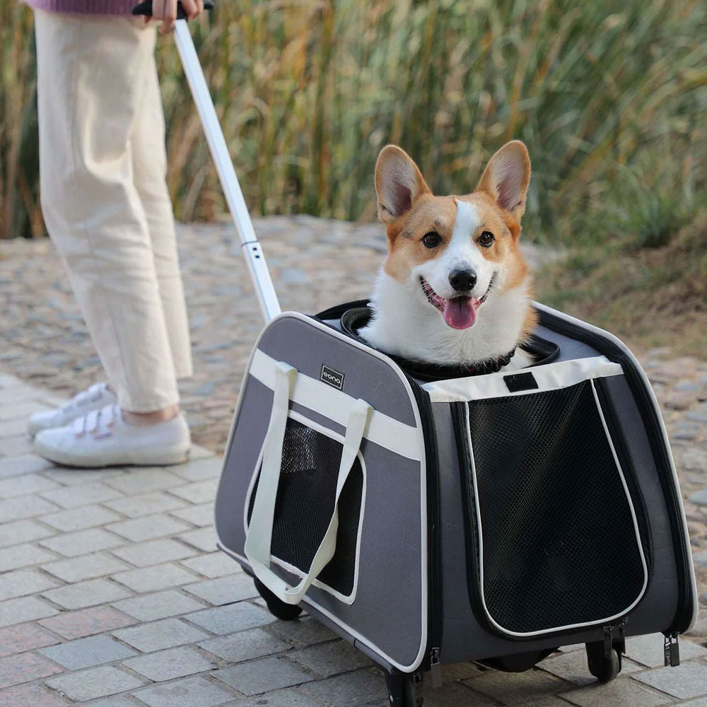 펫츠핏 비행기 탑승가방 강아지 고양이 캐리어 바퀴 이동가방