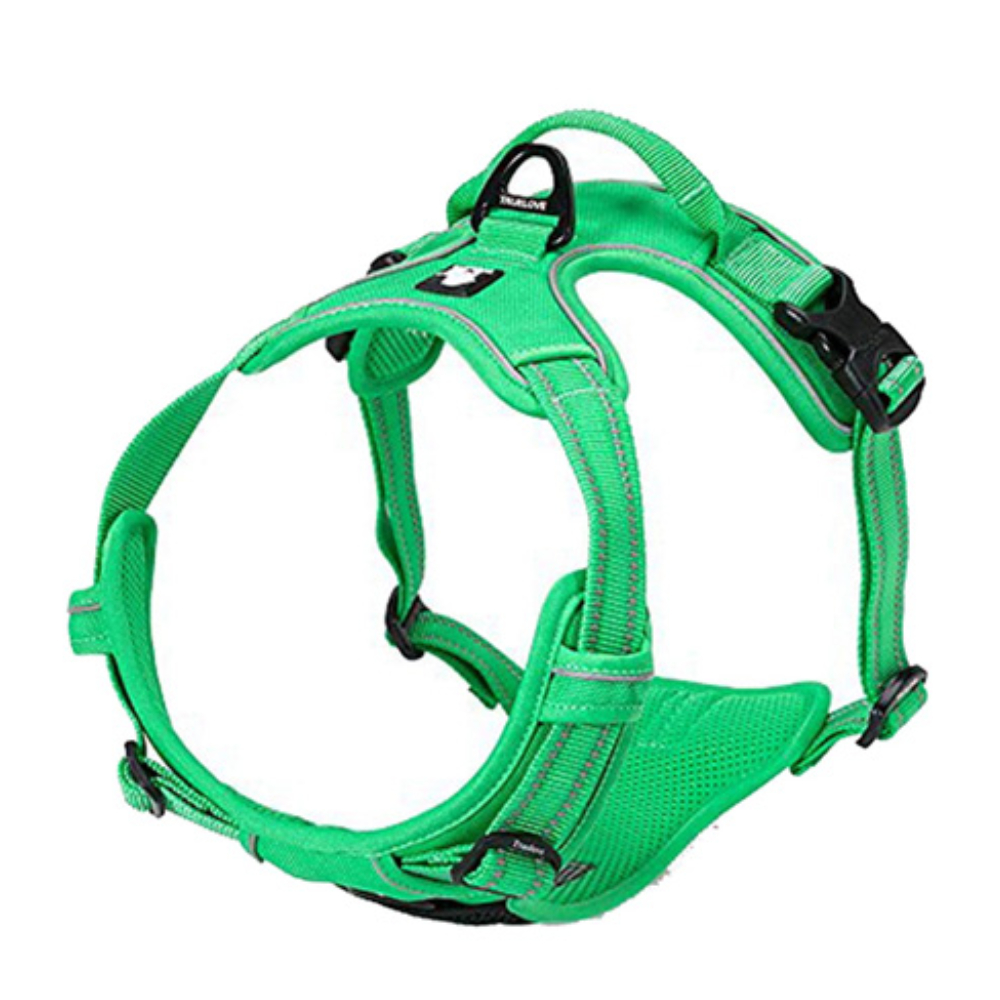 트루러브 TLH5651 하네스 목줄 애완견 반려견 가슴줄 그린 L