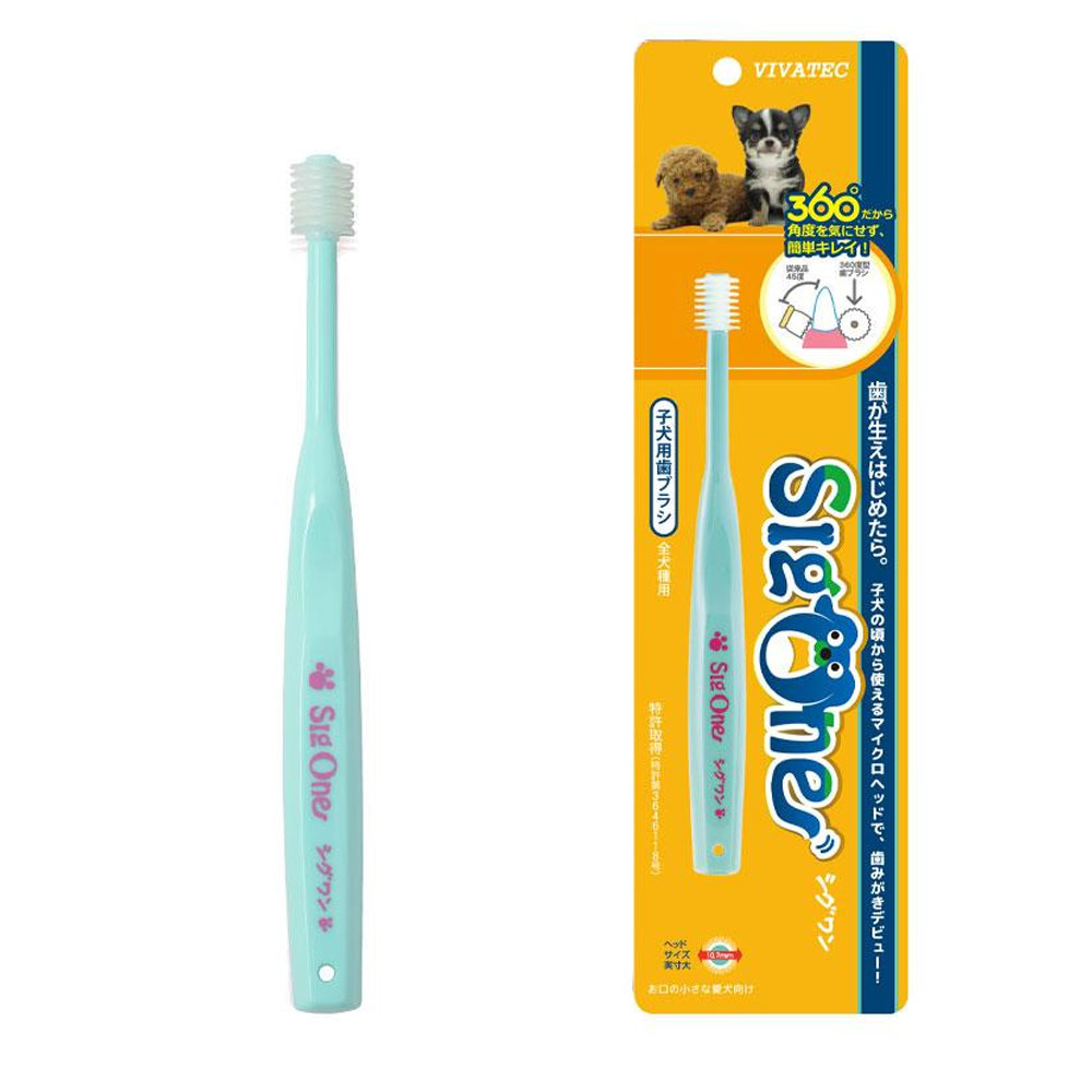 일본 비바텍 시그원 360도 회전칫솔 어린고양이 어린강아지 칫솔 스카이블루