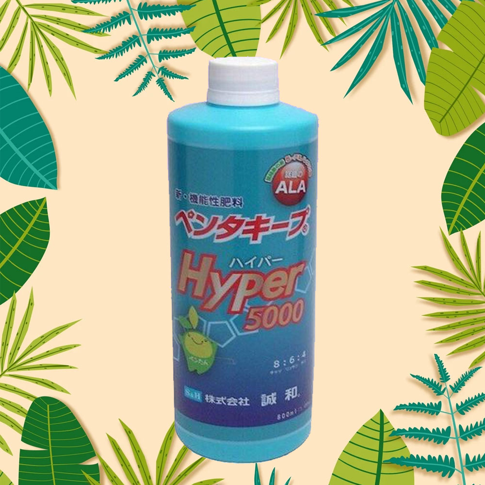 펜타키프 일본 식물영양제 하이퍼500 Hyper5000 광합성 하이퍼 ALA 액상 비료 800ml