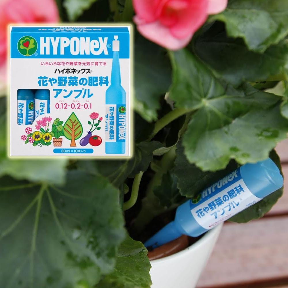 하이포넥스 레이쇼앰플 식물영양제 35ml 10개입