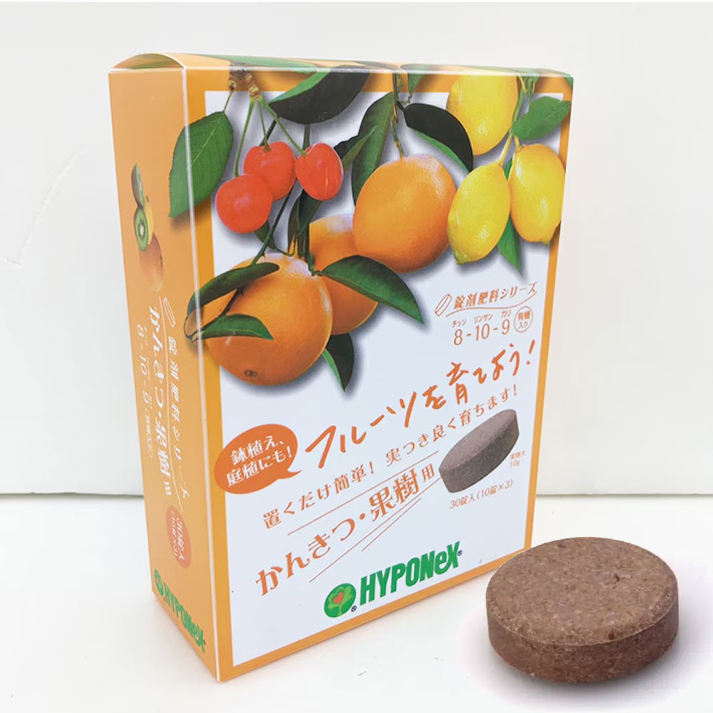 하이포넥스 감귤 비료 시트러스계열 사계귤 유주 유자 금귤 레몬 나무 한라봉 영양제