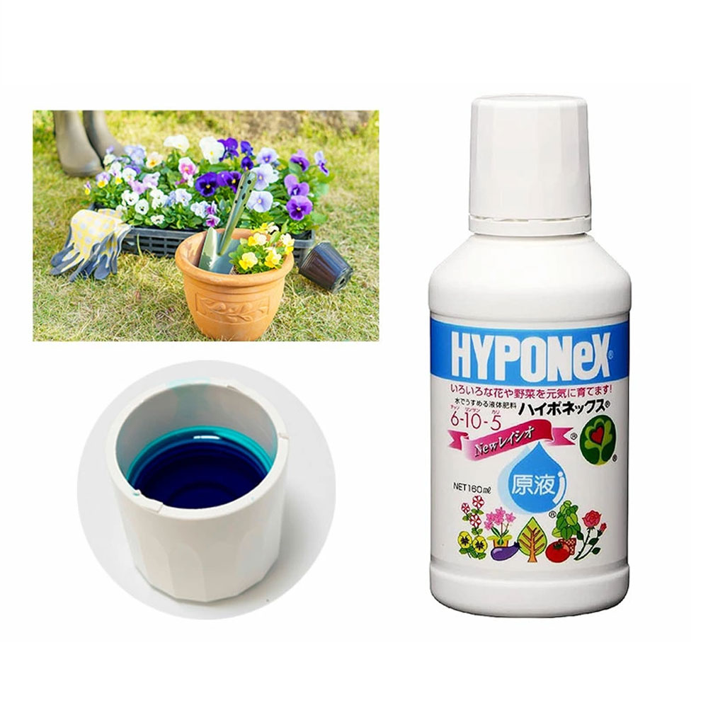 하이포넥스 레이쇼 일본 식물영양제 화분 화초 액비 영양제 원액 160ml