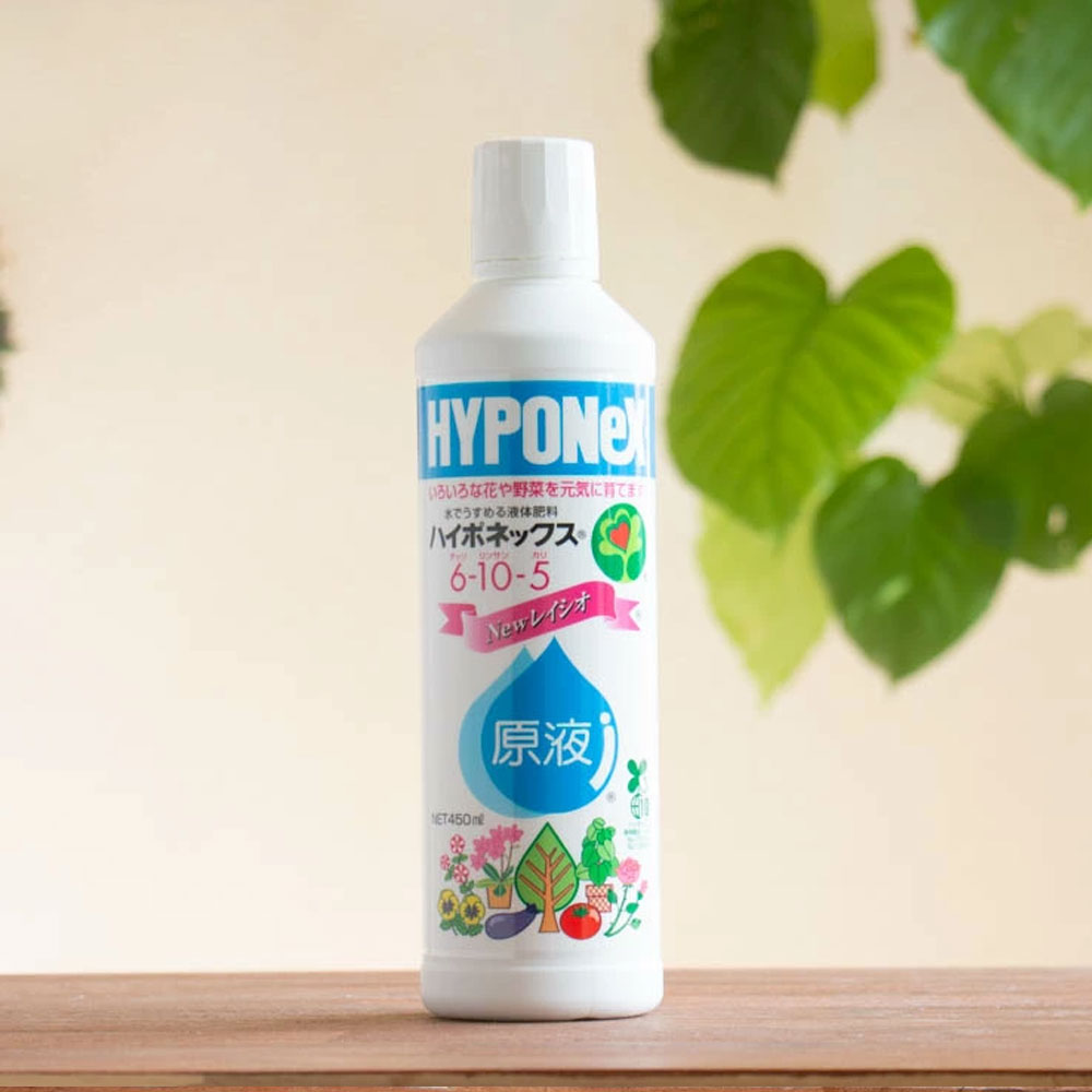 하이포넥스 레이쇼 일본 식물영양제 화분 화초 액비 영양제 원액 450ml