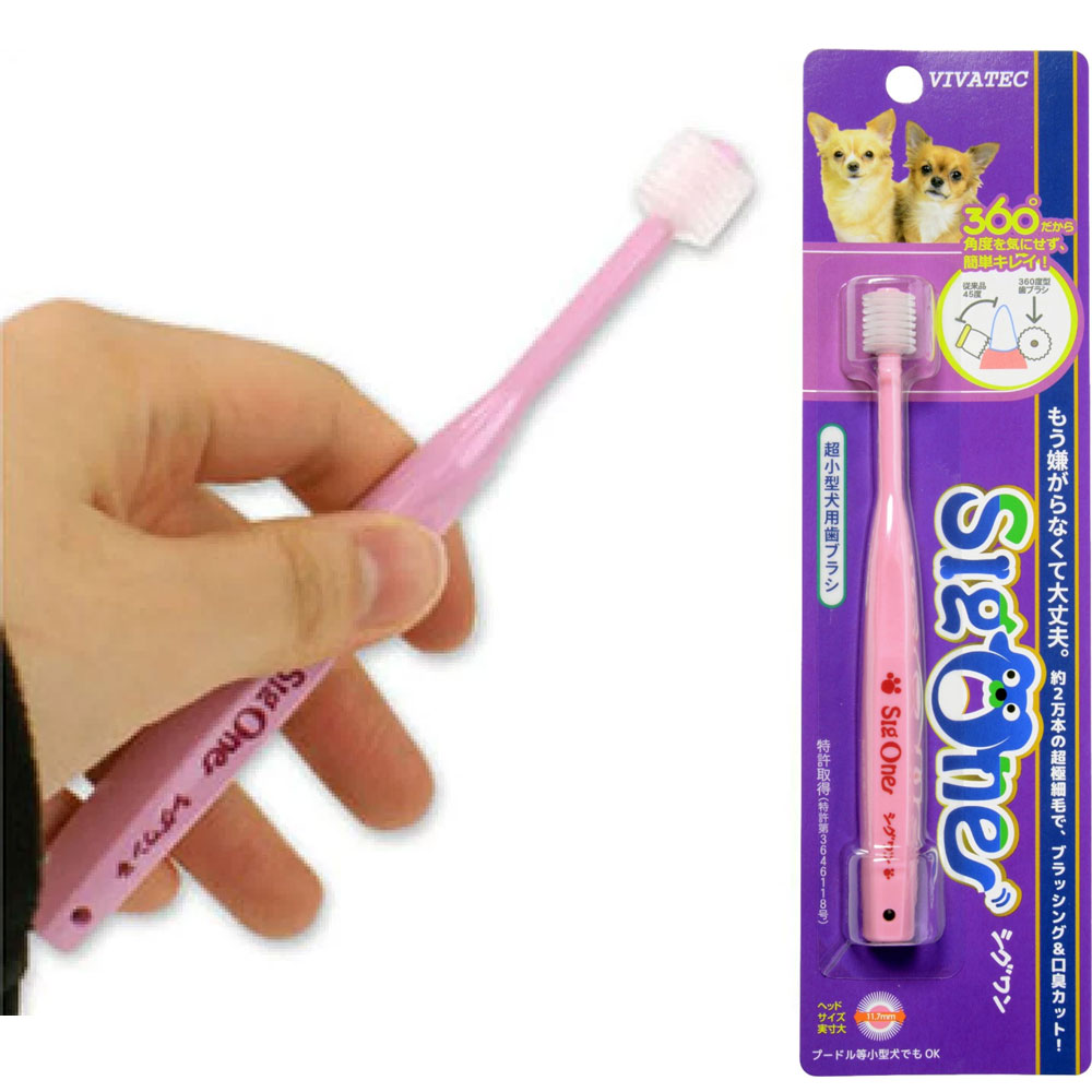 비바텍 시그원 360도 일본 강아지칫솔 애견칫솔 초소형견용 핑크