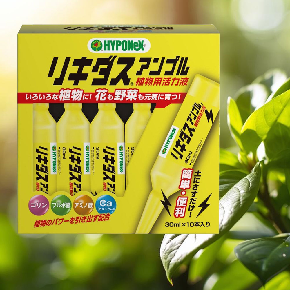 하이포넥스 리키다스 10개입 앰플형 복합비료 화분 화초 식물영양제