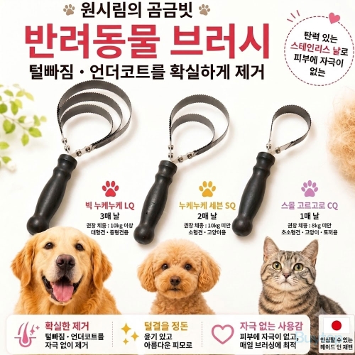 원시림의 곰 소형견 강아지 빗 고양이빗 털갈이 브러쉬 SS
