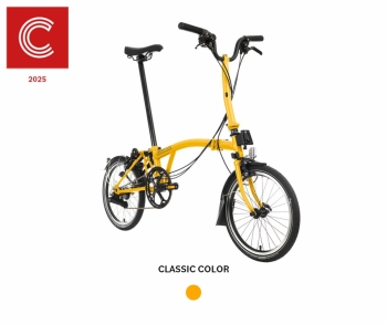 2025 C Line Explore with Rack - Mid + 53만원 사은품