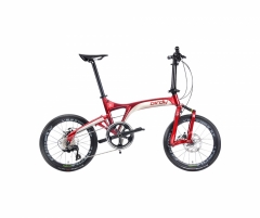 BIRDY R20 11SP Thunder