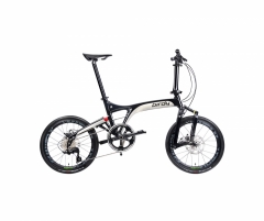 BIRDY R20 11SP Lightning