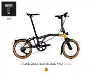 25 T Line Low 4 Urban Black and Gold