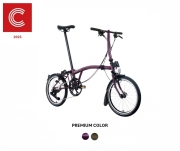 2025 C Line Urban - Low(Premium)