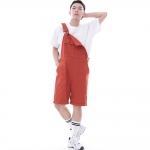 데크 와이드빕 퍼티그 테이퍼드 오버롤 반바지 WFT-602S 브릭