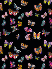 스프링 인 패리스 PWNL041.BLACK