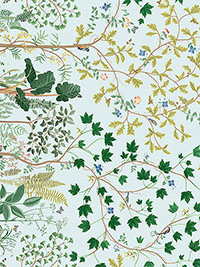 아보레텀 PWSA067.BLUE