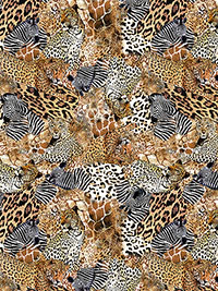 사파리 트레저 DCX11952-UMBE