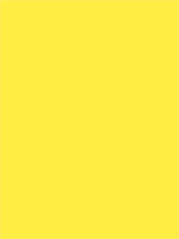 코튼 솔리드 - 레모네이즈 C120-LEMONZE