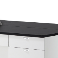 LCW-2100 Series 콘센트형 중앙실험대