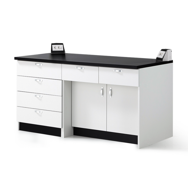 LSW-2100 Series 콘센트형 벽면실험대