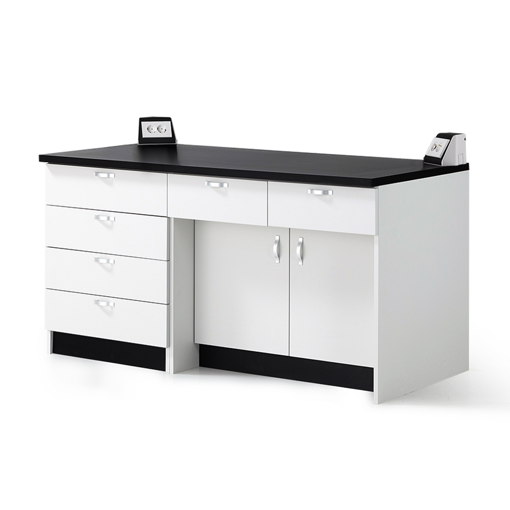 LSW-2100 Series 콘센트형 벽면실험대