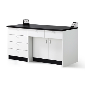 LSW-2100 Series 콘센트형 벽면실험대
