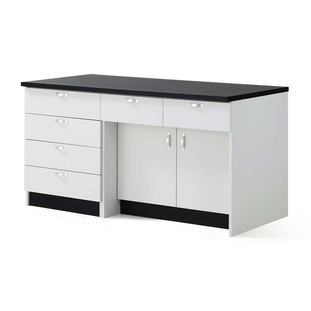 LSW-1100 Series 기본형 벽면실험대