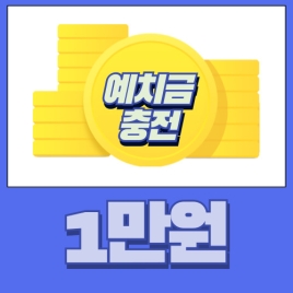 예치금 1만원충전