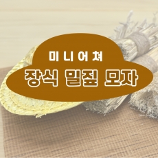 장식밀짚모자 미니어쳐 선인장모자 선인장 허수아비 인형모자 밀짚 화분데코 장식 가을디스플레이 가을 액세서리장식 추석소품 인테리어 장식품 밀짚모자파츠 데코 여름컨셉 컨추리풍 꾸미기 그리기