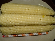 미백찰옥수수(50개)