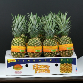 고당도 골드파인애플 12kg (12-7과) 대용량 알뜰과일 신상입고