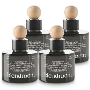 2+2 블랜드룸 차량용 방향제 디퓨저 100ml