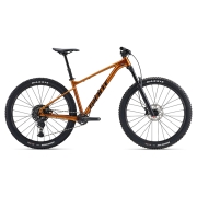 2025 자이언트 패덤 29 MTB 산악자전거