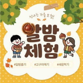 가을체험현수막 알밤 011