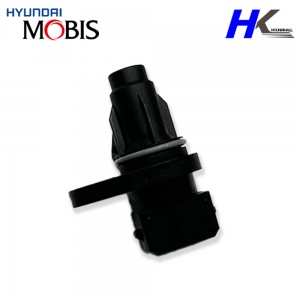 모닝 레이 가솔린 캠각센서 3935026900