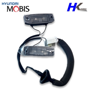 레이 번호판등 라이센스램프 92501A3000