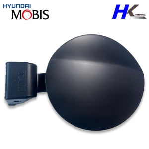 69510A3000 레이 연료필러 도어