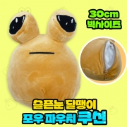 슬픈눈 달팽이 포우 빅사이즈 파우치 쿠션